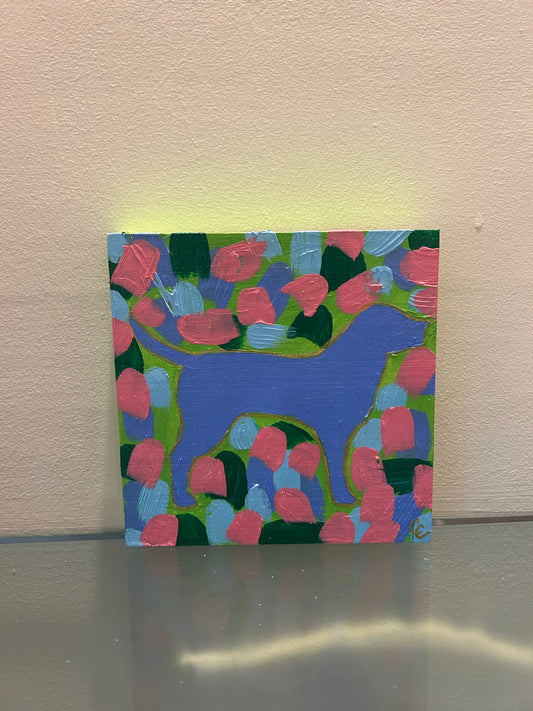 Pop Lab